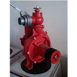 喷灌机  水泵机组-喷灌机泵 -东阿县龙泉水泵厂